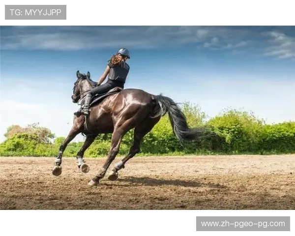 骑马类健身器材的类型与健身效果
